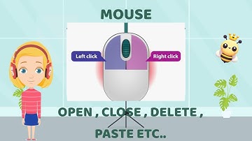 What are Input devices | Grade 3 | Cyber Square