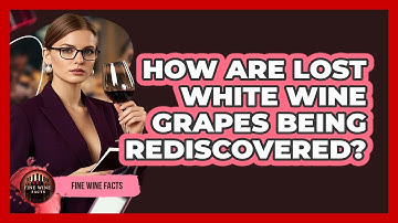 How Are Lost White Wine Grapes Being Rediscovered? - Fine Wine Facts