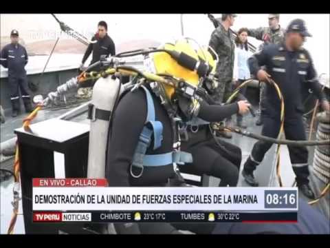 Descripción Del Trabajo Para Un Batallón De Construcción De La Marina – Seabee