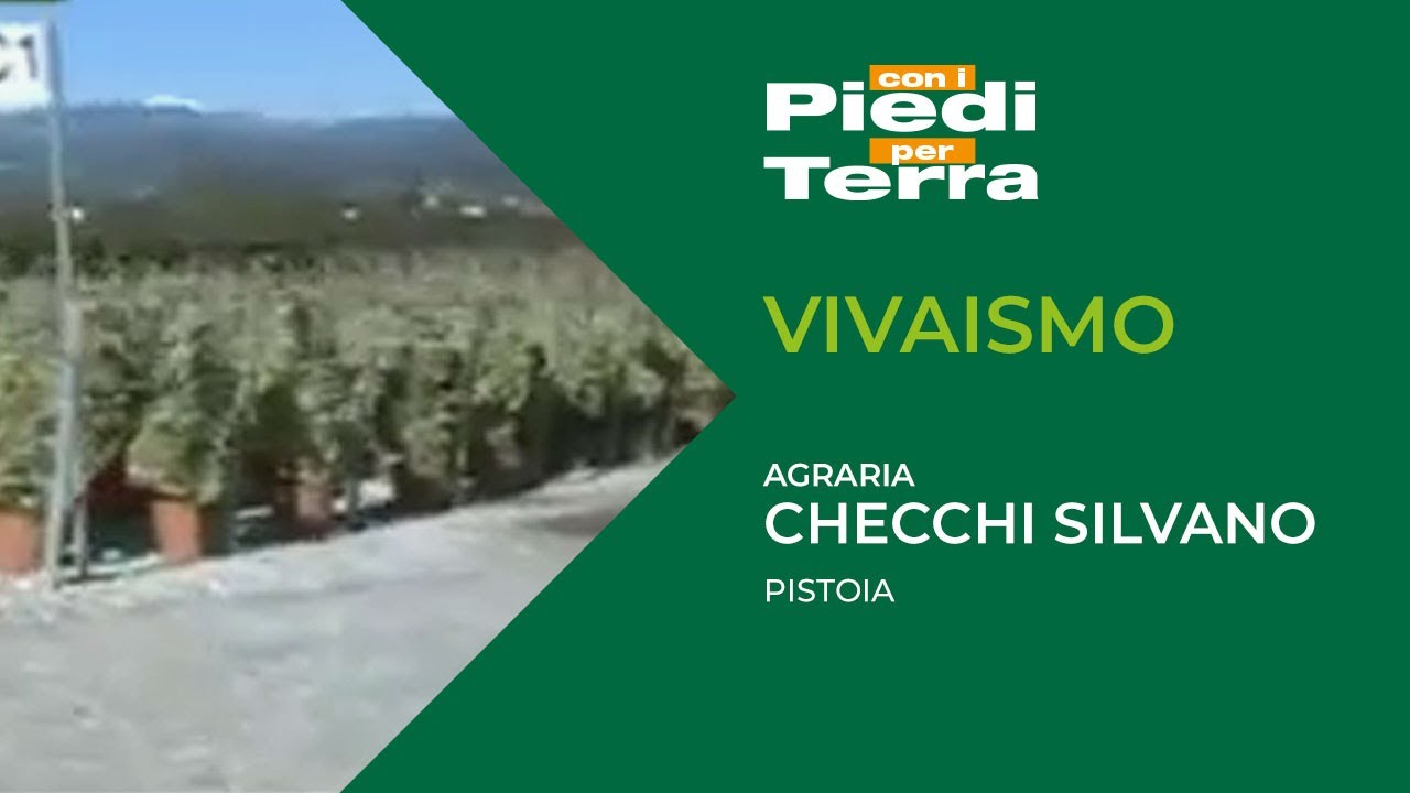 Vivaismo | Azienda agricola Checchi Silvano, Pistoia