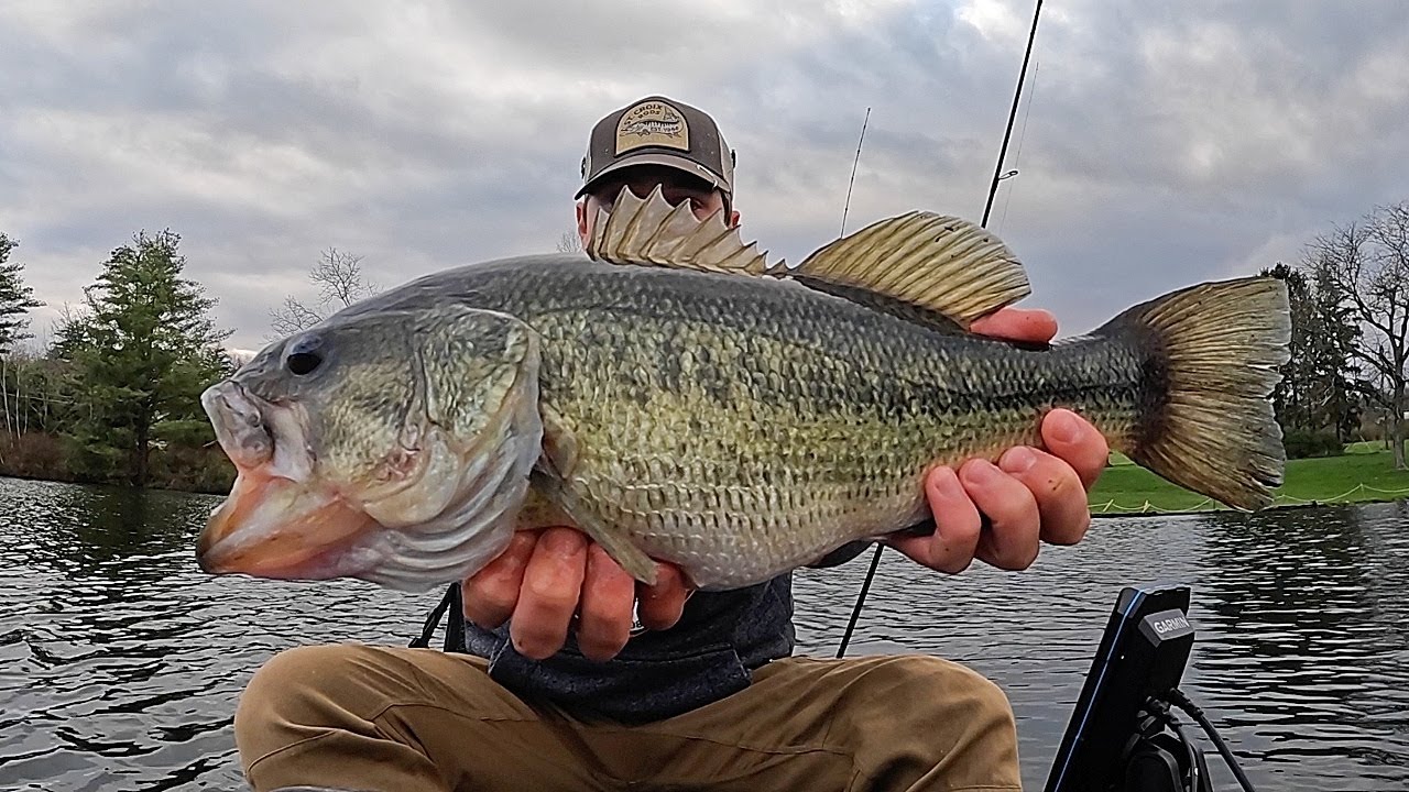 Catch MORE Bass on Finesse Fishing Lures