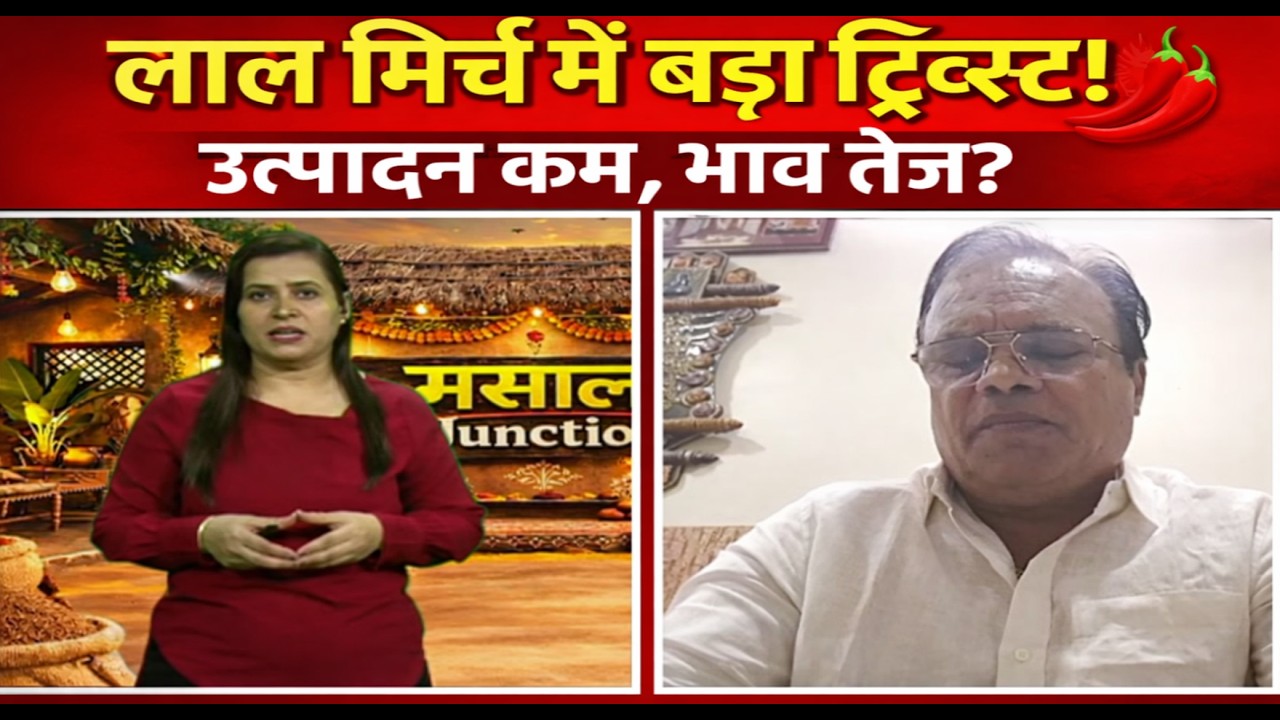 लाल मिर्च में बड़ा ट्विस्ट ! उत्पादन कम, भाव तेज ? #REDCHILLI #spices #market #redchillipowder