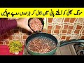 Crispy Crunchy PEANUT Recipe Beats Regular Snacks