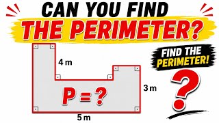 Can You Find the Perimeter? 🤯 Only 1% Can Solve This Geometry Puzzle!