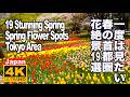 春の花畑で癒やされる！一度は見たい首都圏の花絶景19選　花の名所へは東京から日帰りで行けます。あしかがフラワーパーク ひたち海浜公園 昭和記念公園 富士芝桜祭り 京成バラ園 チューリップ バラ