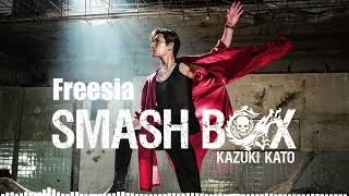 Download Lagu 加藤和樹「Freesia」 Download Lagu 加藤和樹「Freesia」