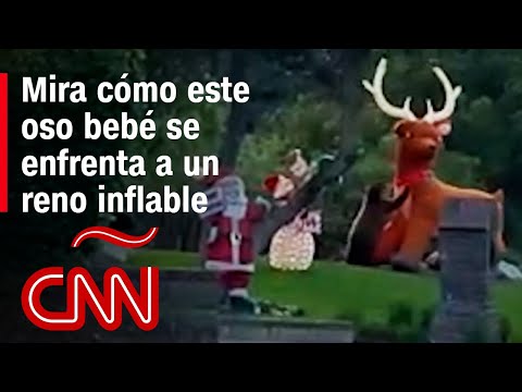 🎬 Video relacionado con renos inflables de navidad