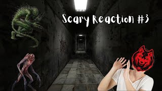 Scary Reaction #3