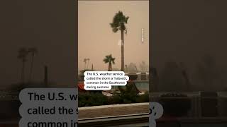 Huge dust storm over Arizona airport grounds flights | REUTERS