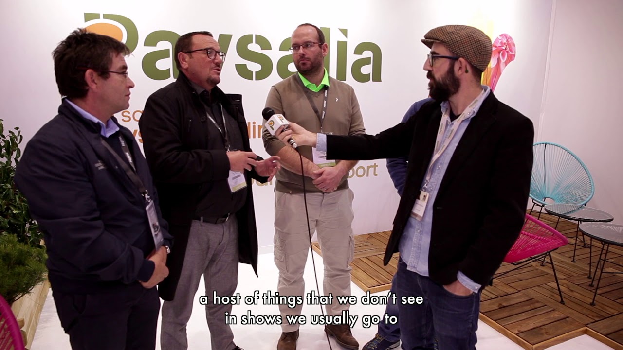 Wellgreen, sols et équipements sportifs (grounds & sports facilities)