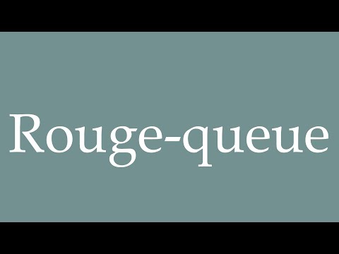 フランス語版　UN POINT ROUGE 赤：[2014] VdF レ プルミエ ポン ルージュ（ヤン ドゥリュー） ／ VdF