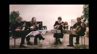 W.a. Mozart - Divertimento In D Major Allegro Played By The Zwols Mandolin Quartet