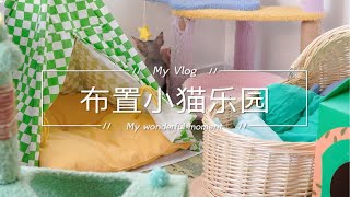 德文猫舍vlog | 收拾出一个小猫乐园·用品大公开·好物分享