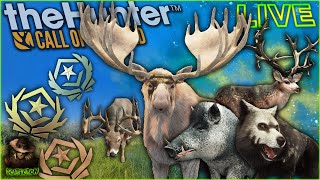 131 Great Ones Down! Will We Get Another Today? Extreme Herd Management Grinding! Call of the wild