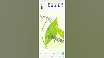 Leaves Digital  Illustration