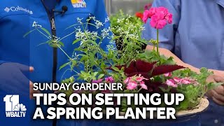 Sunday Gardener: Helpful tips for using planters in your garden by WBAL-TV 11 Baltimore 145 views 2 days ago 2 minutes, 49 seconds