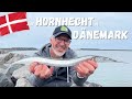 Hornhecht-Angeln in Dänemark - alles über Köder, Montagen, Gerät, Stellen und Bestimmungen