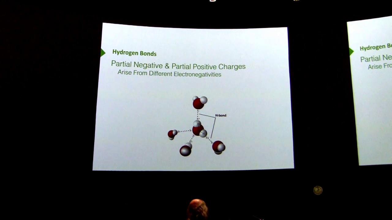 Buffers II - Kevin Ahern's BB 450 Lecture #2 - 2016