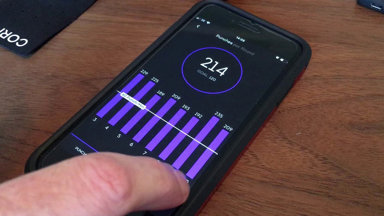 everlast punch tracker