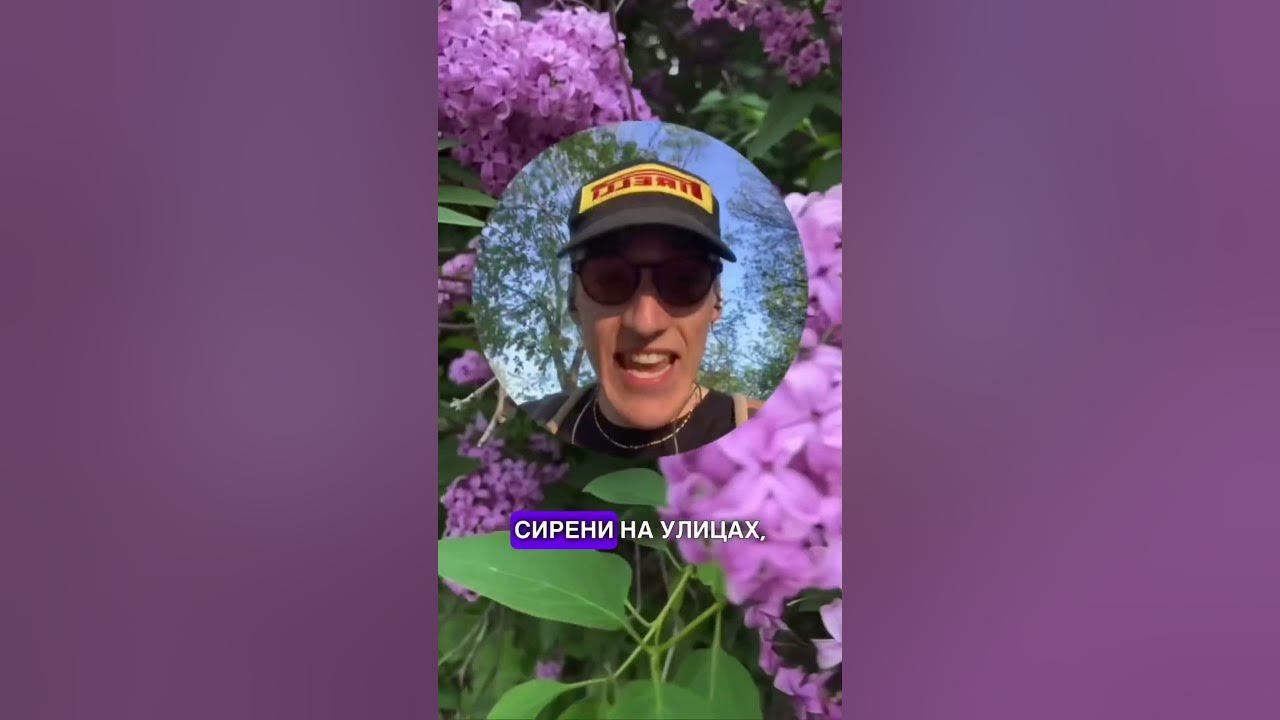 За пару сорванных веточек сирени штраф ? #минск #интересное # ...