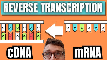 cDNA Synthesis By Reverse Transcription