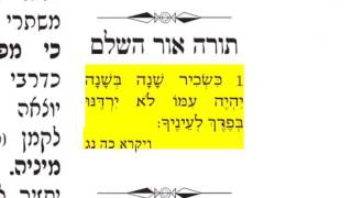מסכת בבא מציעא דף ס"ה 65