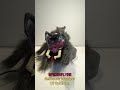 1985 SPIDERFLYER from SECTAURS: WARRIORS OF SYMBION #Sectaurs #ActionFigures #1980s