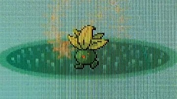 Live shiny oddish after 21354 REs in Pokémon Sapphire (SBQ#6)[Phase 1]