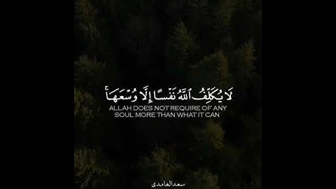 لا يكلف الله نفسا الا وسعها   تلاوة هادئة - تلاوة مؤثرة جدا
