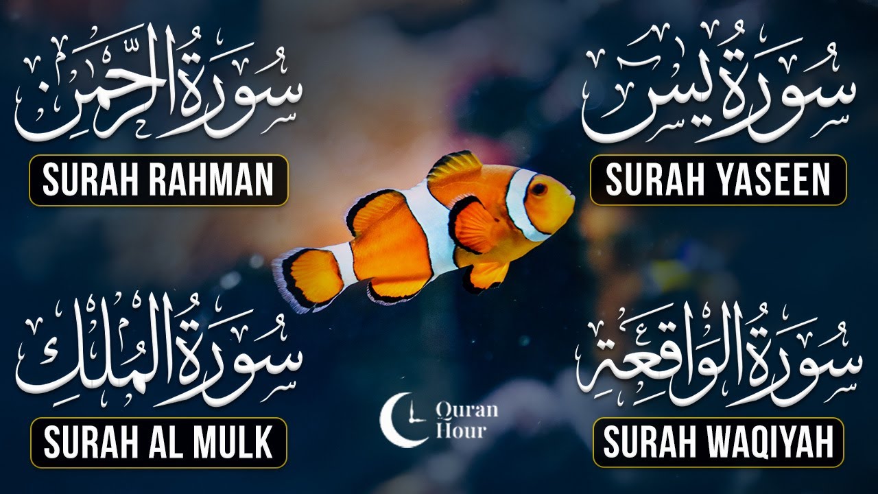 Very Nice Voice Surah Yaseen | Surah Rahman | Surah Waqiah | Surah Mulk l Reciter Ashraf Hussain 128