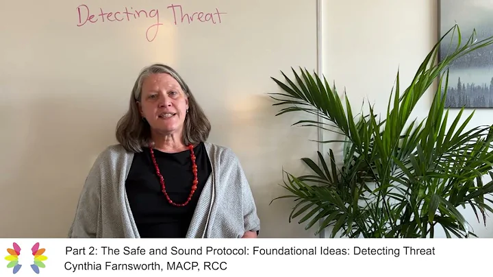 Part 2/7, Detecting Threat: The Safe and Sound Pro...