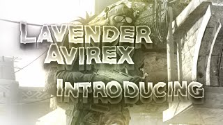 Introducing Lavender Avirex