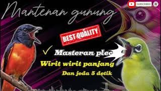 BARU ‼️ MASTERAN PLECI NEMBAK MANTENAN GUNUNG ATAU WIRIT WIRIT PANJANG!!! #pleci #plecimania