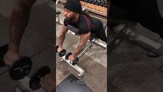 Incline Reverse dumbbell fly chest supported