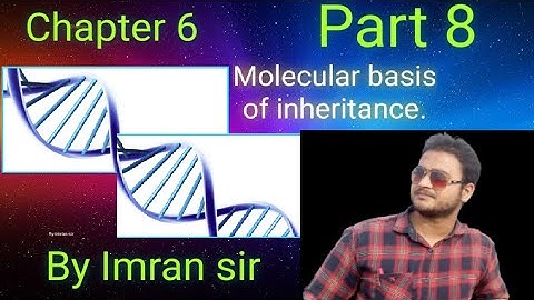 molecular basis of inheritance part 8 by Imran.