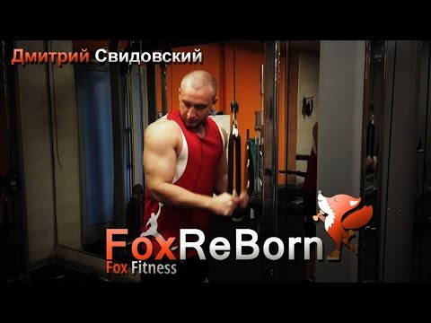 Тренировка Рук с Дмитрием Свидовским FoxReBorn