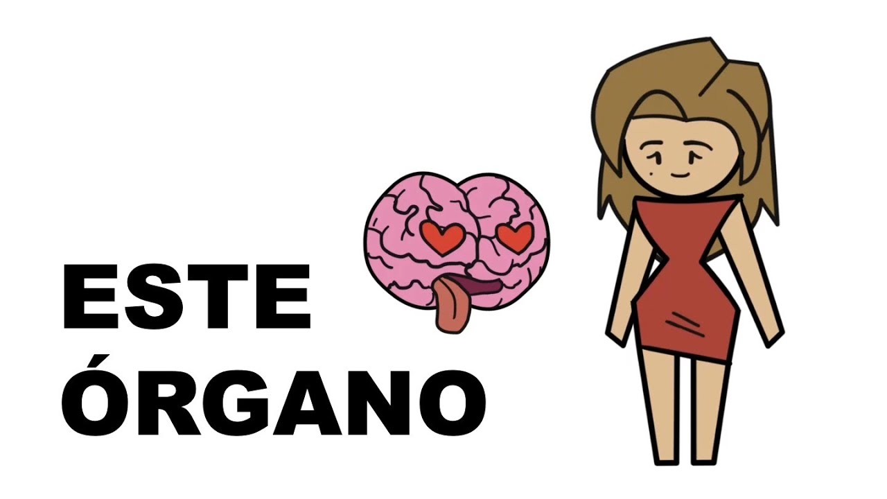 Como las mujeres sexualizan la inteligencia