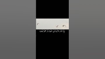 قُلِ ٱلْحَمْدُ لِلَّهِ ۚ بَلْ أَكْثَرهُم لَا يَعْلَمُونَ ||تلاوة مريحة بصوت القارئ عبد الرحمن مسعد💗🌿