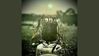 The Death of Me - Evan Collins