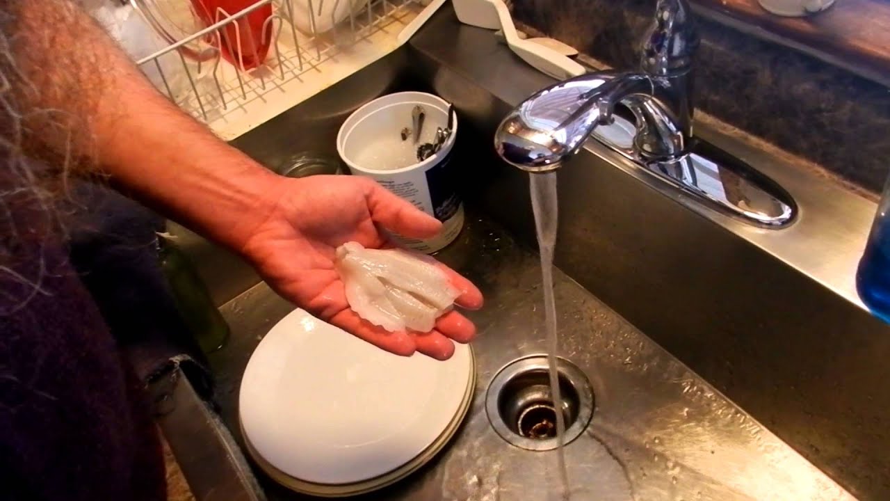 How to freeze fish without suffering freezer burn. YouTube