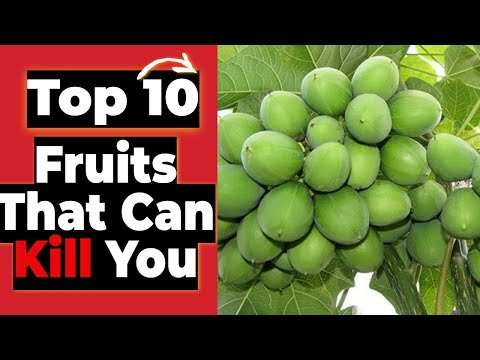 Top 10 Fruits That Can Kill You