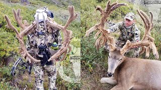 HOW TO HUNT GIANT MULE DEER WITH JUSTIN GORDON