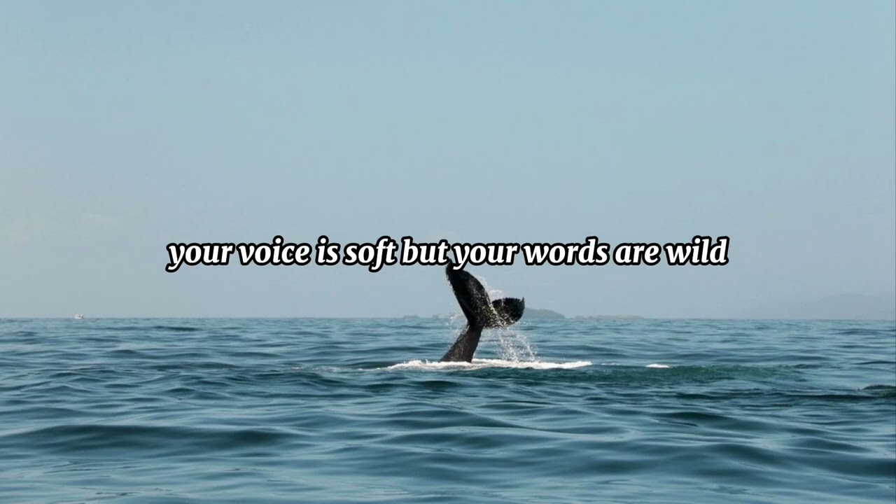 Don’t look at me like that@suno 