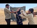 Ruqyah returns with a shocking request; Ruqyah's request to take her stepchildren