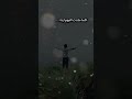 عيناك فتنة شعر اكسبلور الشعرالشعبي خواطر