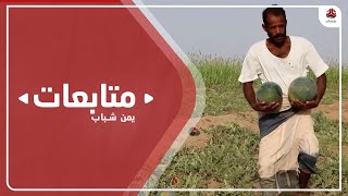 تراجع الإنتاج الزراعي في محافظة حجة منذ خمسة أعوام