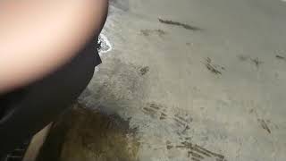 MITSUBISHI -LANCER Evolution  Ⅸ その２