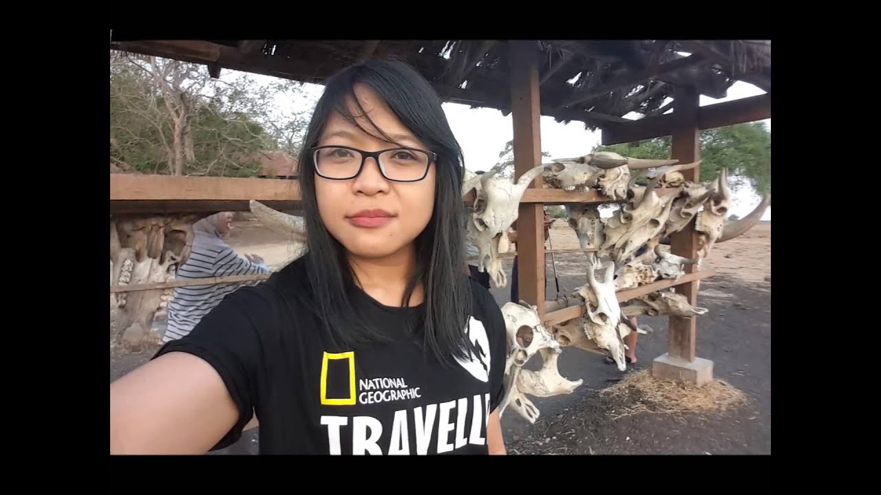 Baluran National Park, Banyuwangi East java 2015