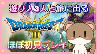 遊び人だけのパーティ強くねぇか？？？　#ドラクエ3HD2D