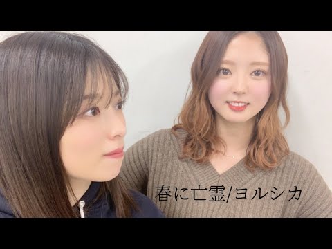 【齋藤冬優花】櫻坂46ふーちゃん23歳お誕生日おめでとう。【花に亡霊/ヨルシカ】